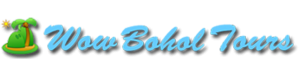 Wow Bohol Tours - Bohol Tour Package